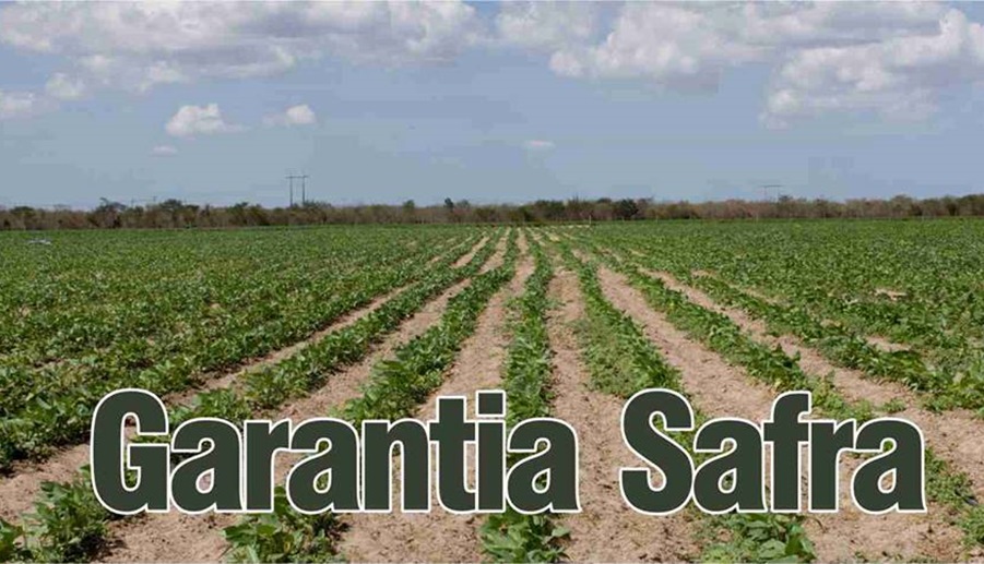 Ministério da Agricultura libera r$ 74 milhões em recursos do Garantia-safra