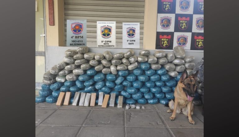 Operação da Polícia Militar apreende 131 kg de maconha na zona rural de Gravatá