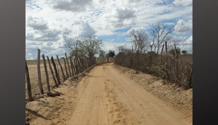 Pernambuco decreta situação de emergência devido à estiagem em 55 municípios do Agreste