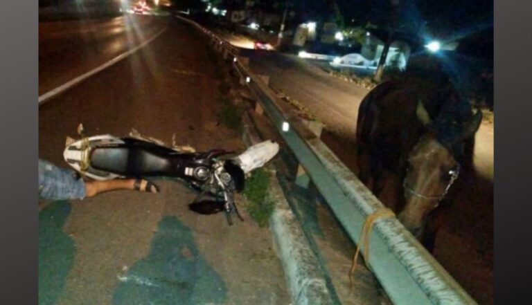 Motociclista bate em cavalo e morre na BR-232, em Gravatá