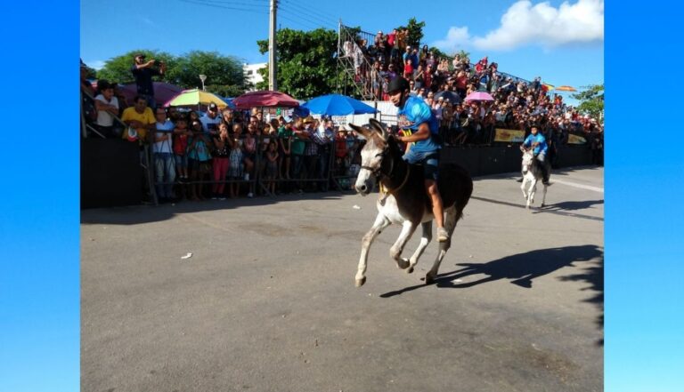 47ª edição do 'Festival Nacional de Jericos de Panelas' é realizada de forma online