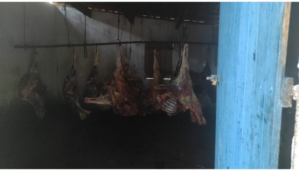 Operação conjunta apreende quatro toneladas de carne de cavalo em Limoeiro
