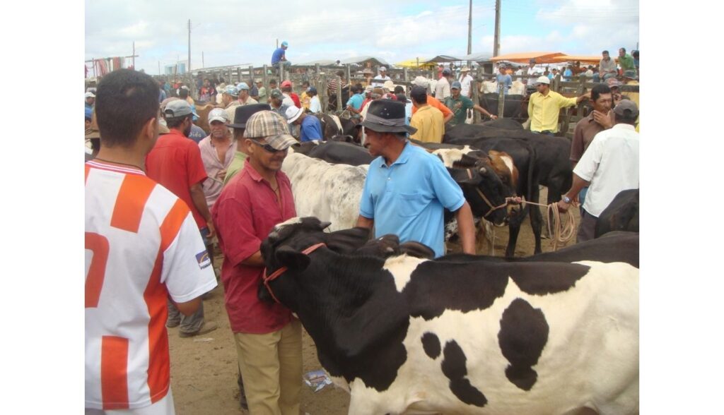 Adagro suspende feiras agropecuárias e vaquejadas em Pernambuco