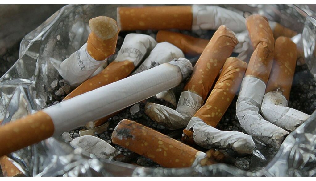 O que o cigarro causa no corpo humano? Profissional fala sobre o Dia Mundial Sem Tabaco