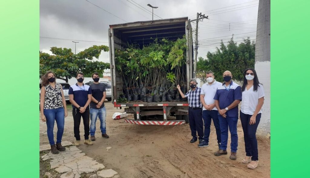 Prefeitura de Belo Jardim recebe 500 mudas de árvores em homenagem à Semana Mundial do Meio Ambiente