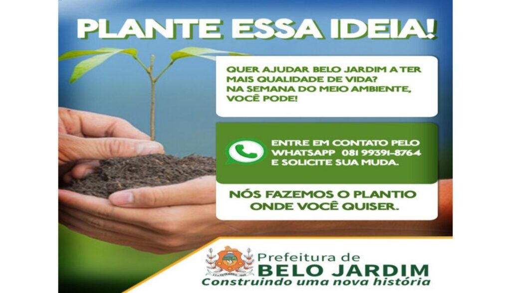 Durante a semana do Meio Ambiente, Prefeitura de Belo Jardim doa mudas de árvores em sistema delivery; confira