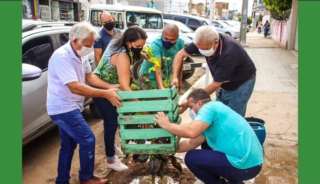 Arborização de Belo Jardim será foco da secretaria de meio ambiente na gestão Gilvandro