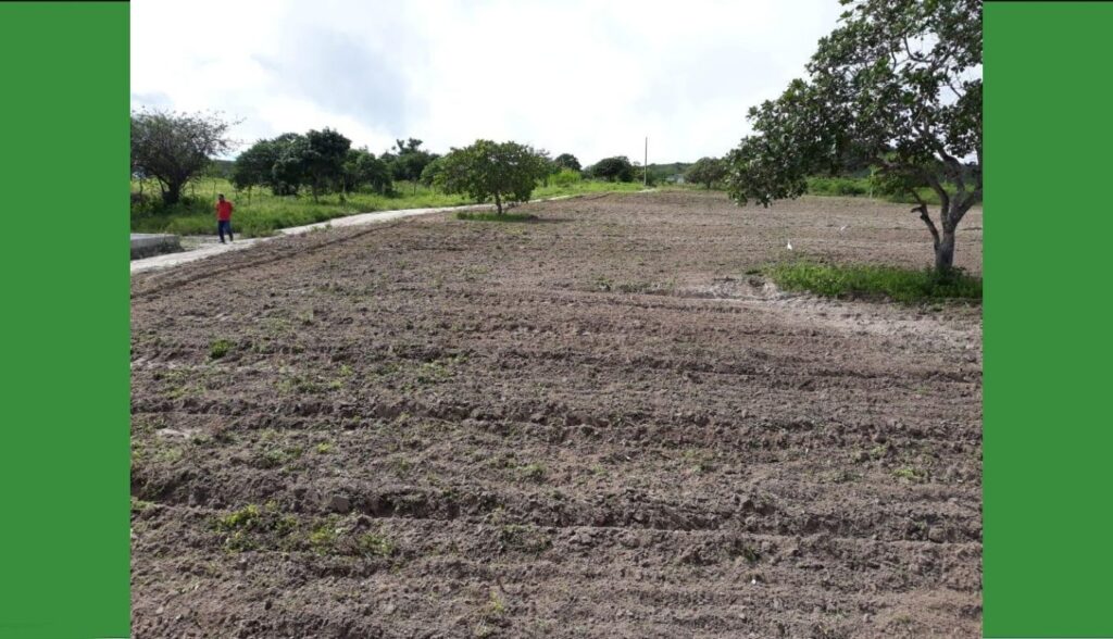 Em maio, dezenas de produtores rurais de Belo Jardim foram beneficiados com aração de terras