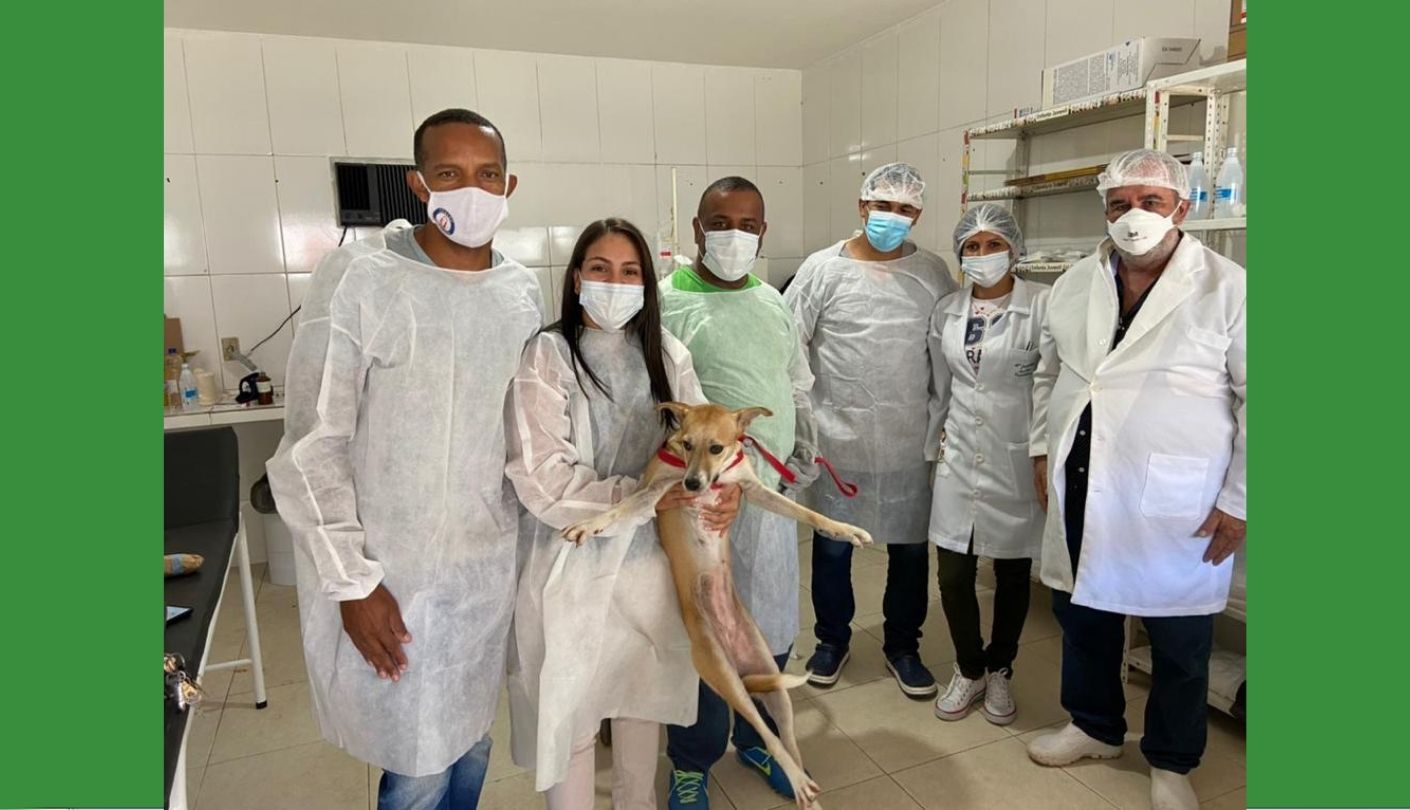 Belo Jardim: Clínica Veterinária municipal Vitória-Brenda atende mais de 180 animais com castração e tem meta de ser a primeira cidade do interior a reduzir a natalidade dos animais