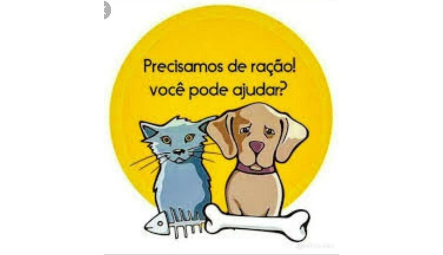 Laika Vitae pede doação de ração para alimentar cães e gatos resgatados em Belo Jardim