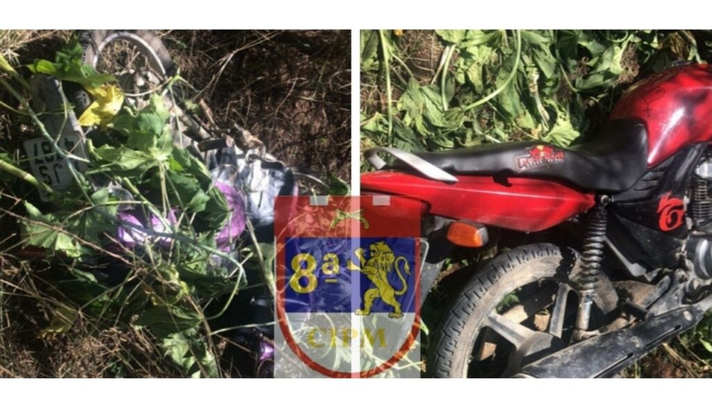 Polícia encontra duas motos roubadas e escondidas no mato, em Sanharó