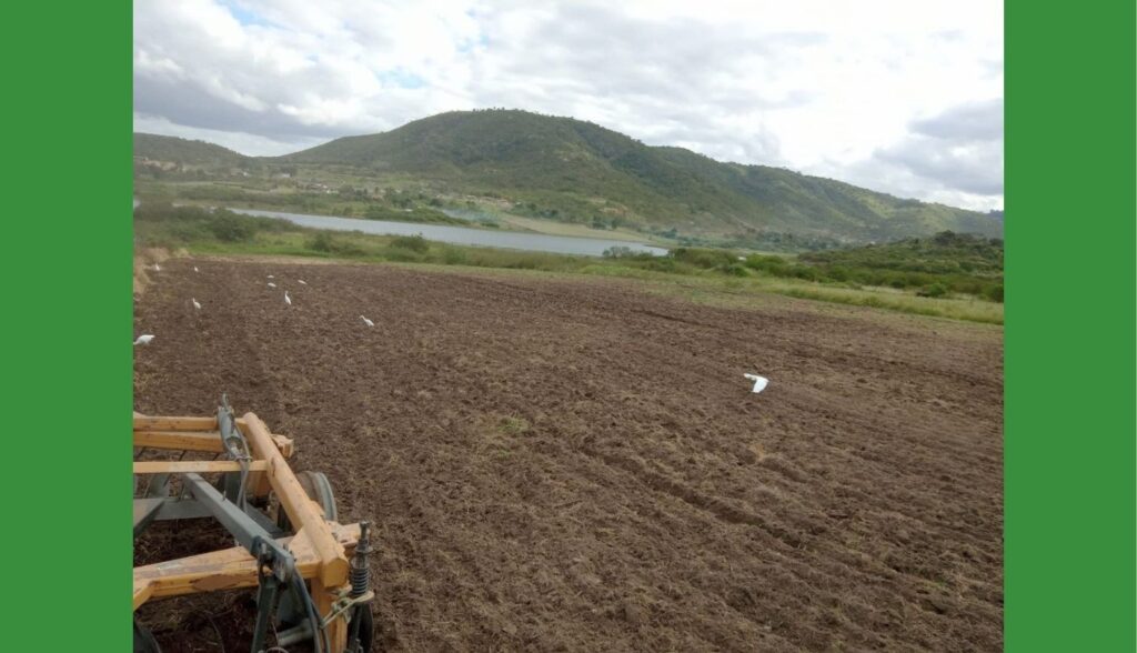 Serviços de abastecimento de água e aração de terra, atenderam 425 pessoas no mês de agosto em Belo Jardim