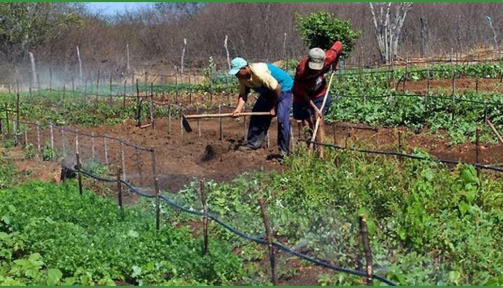 Prefeitura de Belo Jardim emite gratuitamente para os agricultores do município a Declaração do Imposto sobre a Propriedade Territorial Rural (ITR)