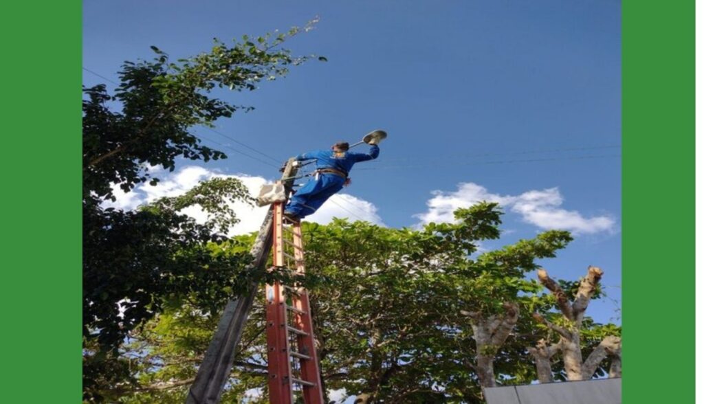 Em três dias, 59 reparos na iluminação público foram realizados em Belo Jardim; confira