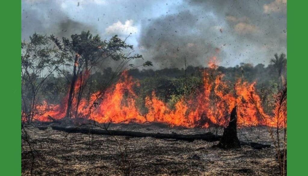 Defesa Civil de Belo Jardim alerta os produtores rurais sobre os perigos de incêndios nesta época do ano