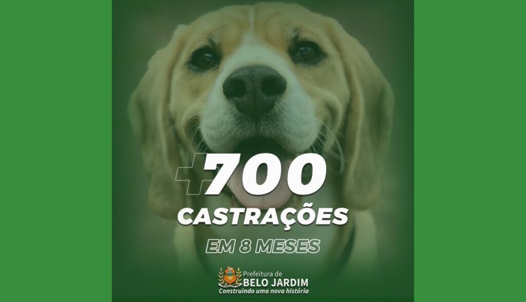 Prefeitura de Belo Jardim alcança 736 castrações em 8 meses de funcionamento da Clínica Veterinária Municipal