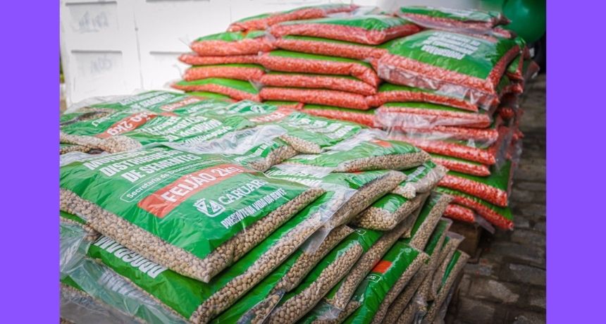Prefeitura de Caruaru distribui sementes de milho e feijão para agricultores