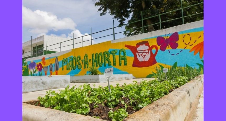 Prefeitura de Caruaru inaugura primeira horta escolar do projeto “Mãos à Horta”