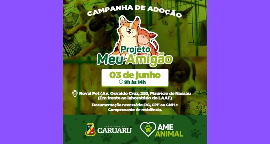 Campanha “Meu Amigão”, de adoção de pets, volta a ser realizada em Caruaru