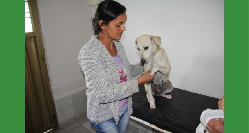 Clínica Veterinária Municipal Vitória-Brenda inicia o mês de setembro realizando mutirão de castração