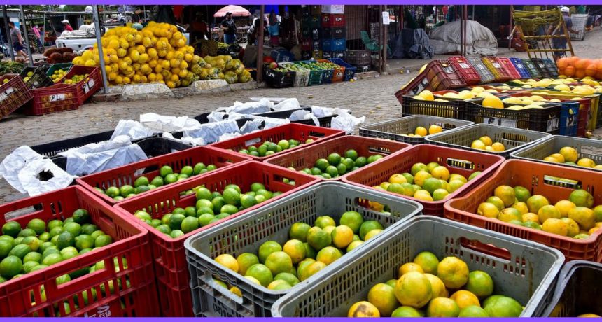 Ceaca distribuirá mil kits com bananas e laranjas durante a Corrida Monte Bom Jesus