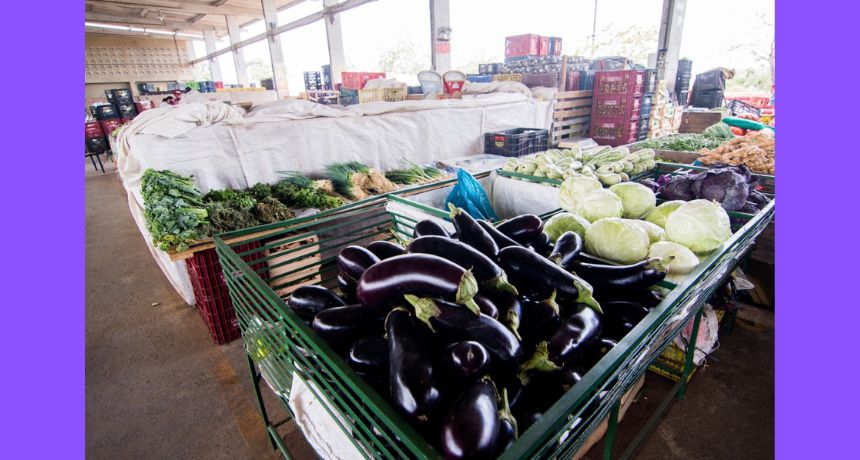 Nova cotação da Ceaca mostra o aumento de 75% do preço do tomate