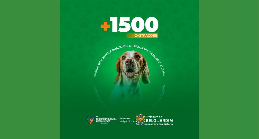 Clínica Veterinária Municipal Vitória-Brenda alcança a marca de 1500 castrações realizadas