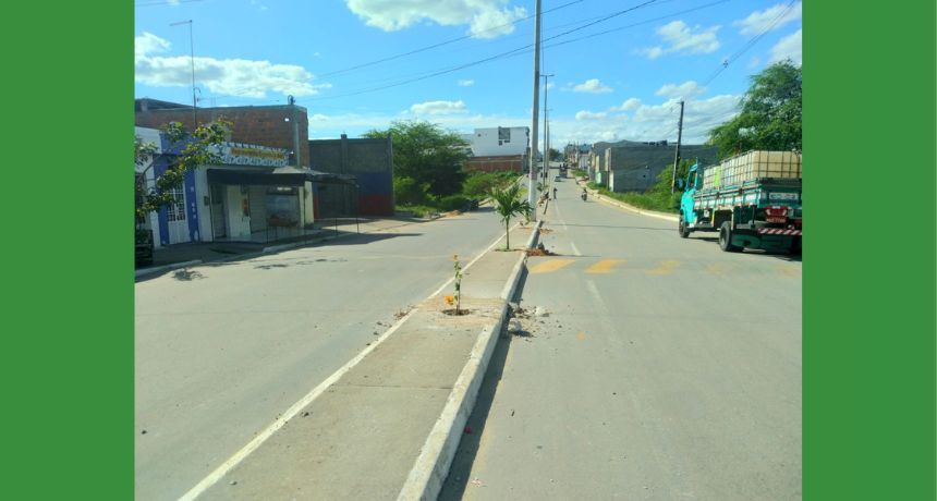 Paisagismo: Prefeitura de Belo Jardim adquire cerca de 3 mil mudas de plantas e flores para embelezar cidade