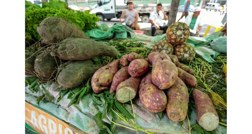 Adagro monitora resíduos de agrotóxicos em feiras orgânicas