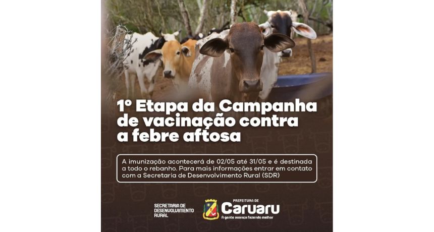 Campanha de vacinação contra a febre aftosa é realizada em Caruaru