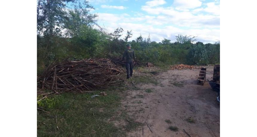 CPRH realiza operação para combater desmatamento ilegal em Unidade de Conservação em Tacaimbó