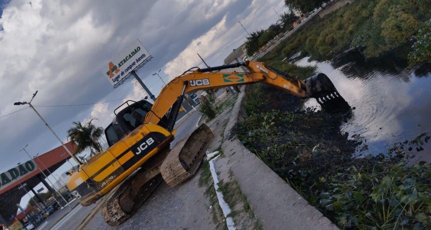 Aumento das muriçocas em Belo Jardim: prefeitura esclarece causa e medidas adotadas
