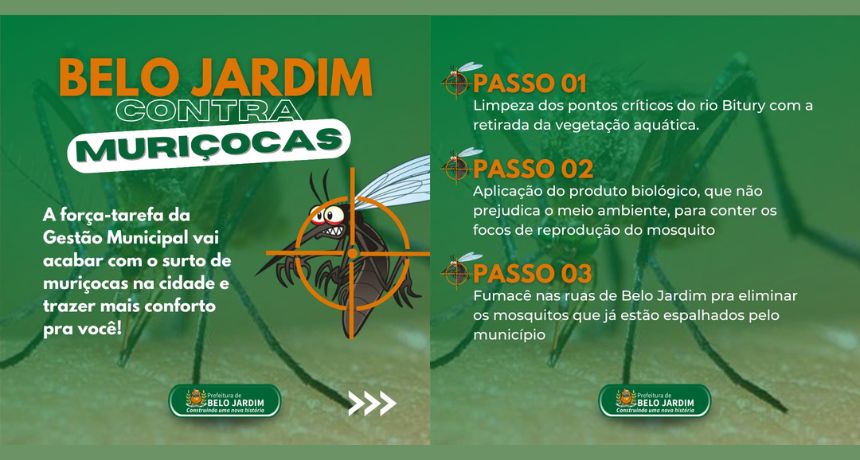 Prefeitura de Belo Jardim lança campanha de combate a muriçocas nesta quinta-feira