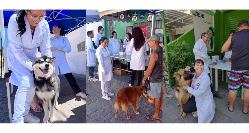 Dia Nacional dos Animais será comemorado com evento gratuito para pets em Caruaru