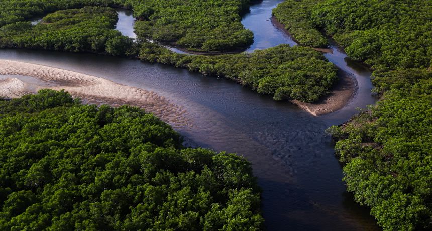 Governo de Pernambuco inicia programação da Semana da Água