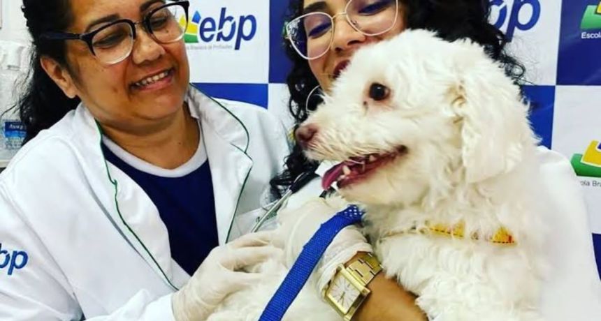 EBP Caruaru realiza mais uma ação gratuita de vacinação antirrábica e vermifugação