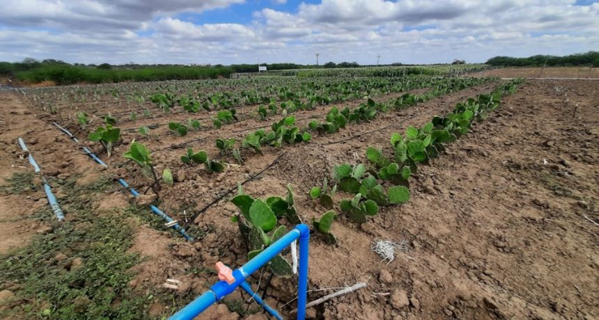 Compesa inova com projeto-piloto de reciclagem e reutilização de água residual