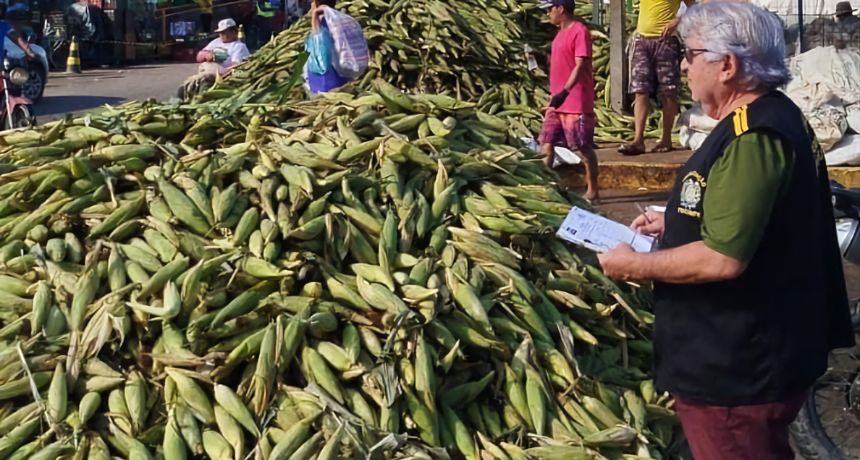 Procon-PE divulga variação de preços do milho em pesquisa recente