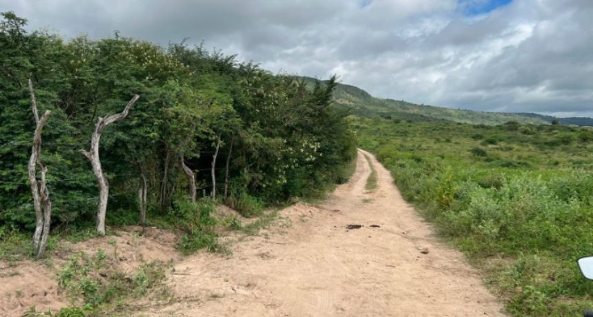 Balanço: adolescente é arrastado de casa e executado a tiros em Bezerros