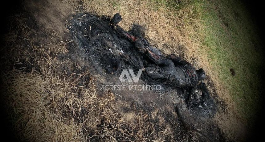 Crime brutal: homem é queimado dentro de fazenda em Bento do Una