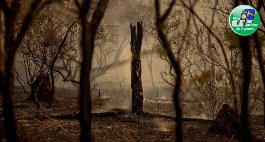 Municípios devem realizar conferências locais para discutir lacunas e estratégias relacionadas às Mudanças Climáticas