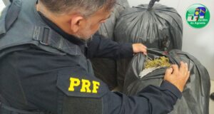 Caminhonete carregada com 156 Kg de maconha é apreendida pela PRF em Sertânia