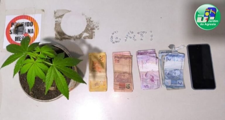 Polícia Militar apreende drogas e pé de maconha durante operação em local de tráfico em São Bento do Una