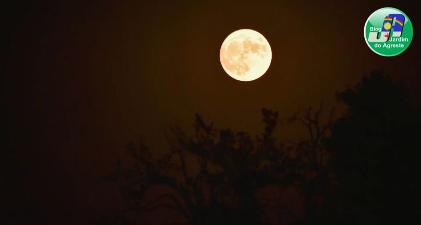 Maior superlua do ano pode ser vista nesta quinta-feira (17)