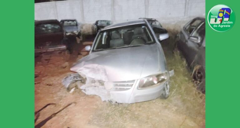 Condutor alcoolizado é detido após colidir na mureta de ponte na BR-116