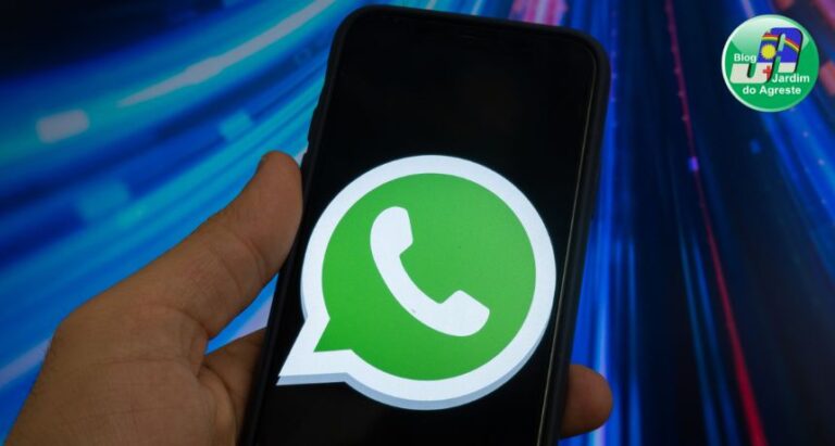 Meta AI no WhatsApp tem falhas na política de privacidade