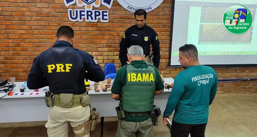 Quatro cargas de madeira irregular são apreendidas pela PRF em Serra Talhada