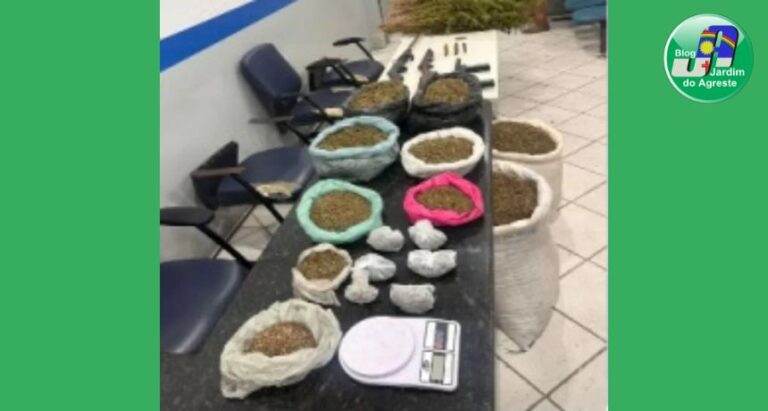 PM apreende maconha e três armas em Brejo da Madre de Deus