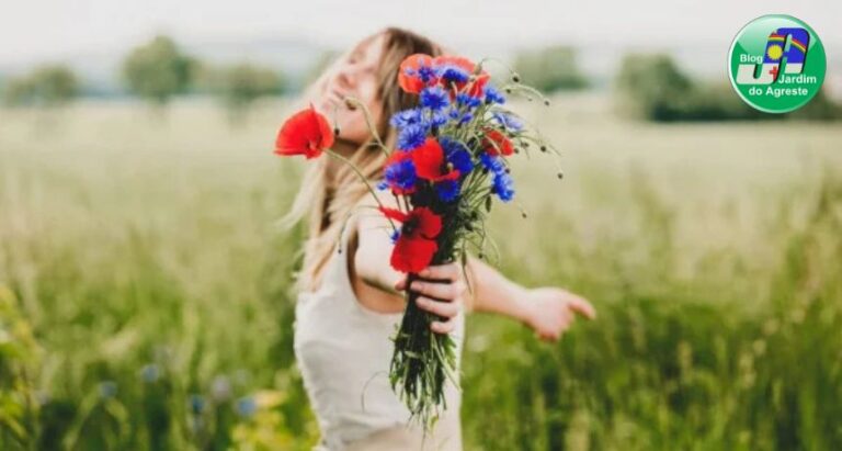 15 flores que atraem prosperidade, proteção e boas energias