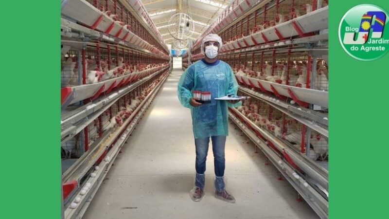 Adagro promove treinamento sobre o Programa Nacional de Sanidade Avícola – PNSA em Arcoverde